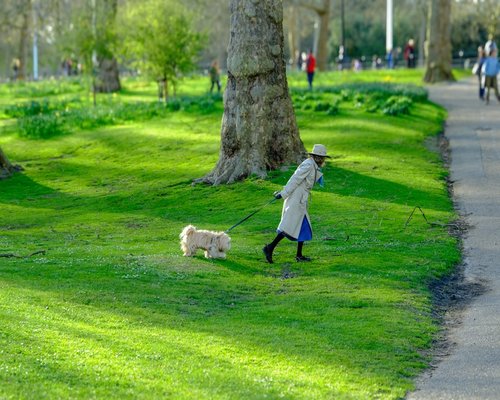 person walking briskly in a sunlit green park