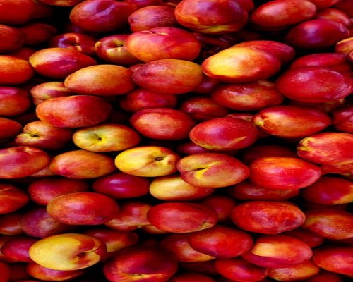 fresh healthy organic breakfast with fruits and water
